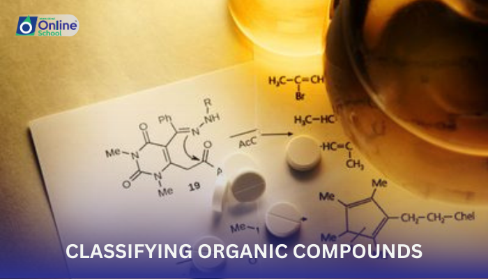 Lesson 13: Classifying Organic Compounds